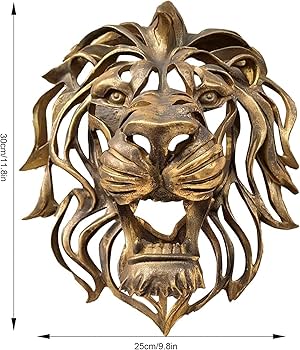 71hyn3ZUo7L._AC_UF350,