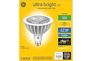 GE Ultra Bright LED Floodlight