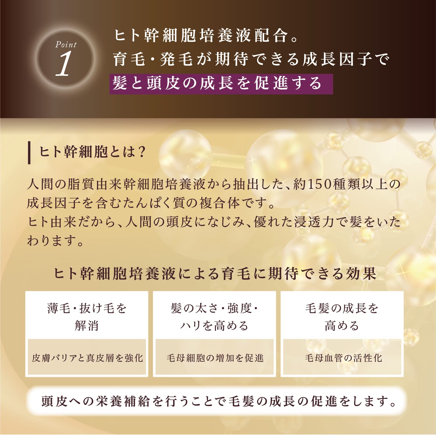 Amazon | Kyogoku シグネチャーシャンプー ヒト幹細胞美容液配合 天然