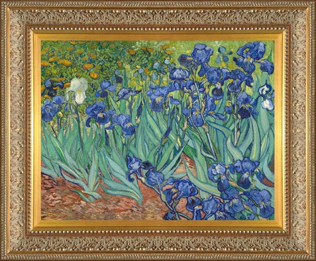 Vincent Van Gogh Irises Peel n Stick Museum Quality Printed Art & Frame