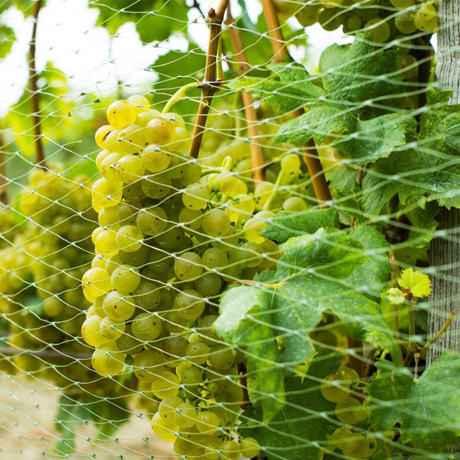 3 x 10m Rete per Gatti, 2.5cm Diametro Foro Rete Gatti balcone, Bianco Rete Balcone per Gatti, Multifunzione Rete Gatti, Rete Protezione Gatti Balcone Adatto per Proteggere Animali Domestici Piante