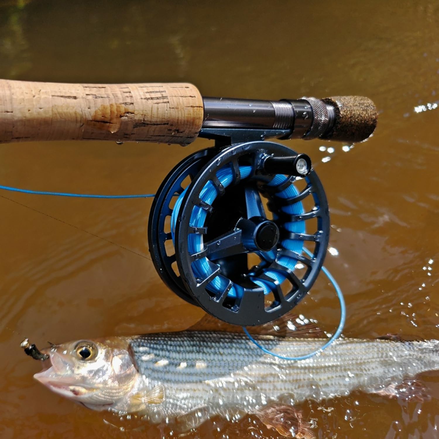 Raprance Fly Fishing Reel 5/6wt - CNC Aluminum Alloy, Ultra-Light, Instant Spool Change Side Button, for Freshwater/Saltwater (Matte Gunmetal Gray)