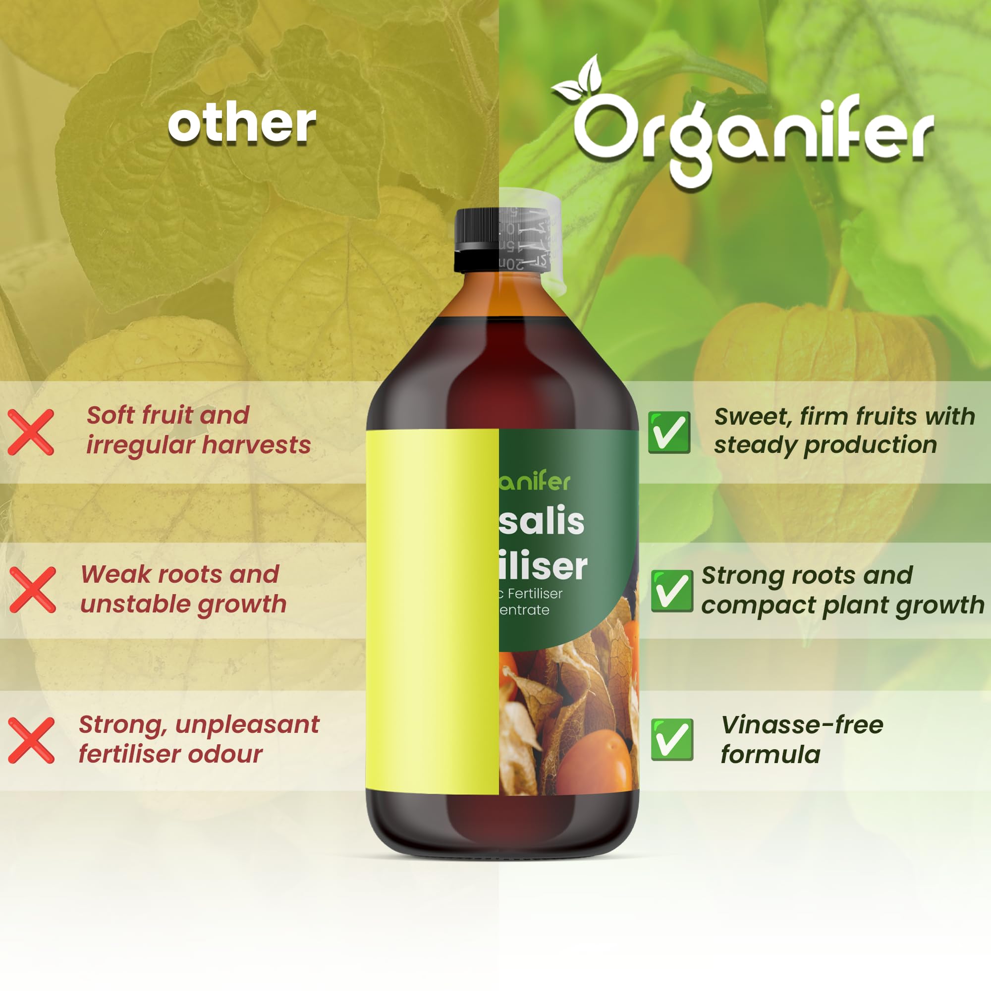 Physalis Nawóz Organiczny Do Roślin Owocowych - 10L - NPK 2-1-8 | Zdrowe Liście - Silne Korzenie I Wysoka Plonność - Organifer