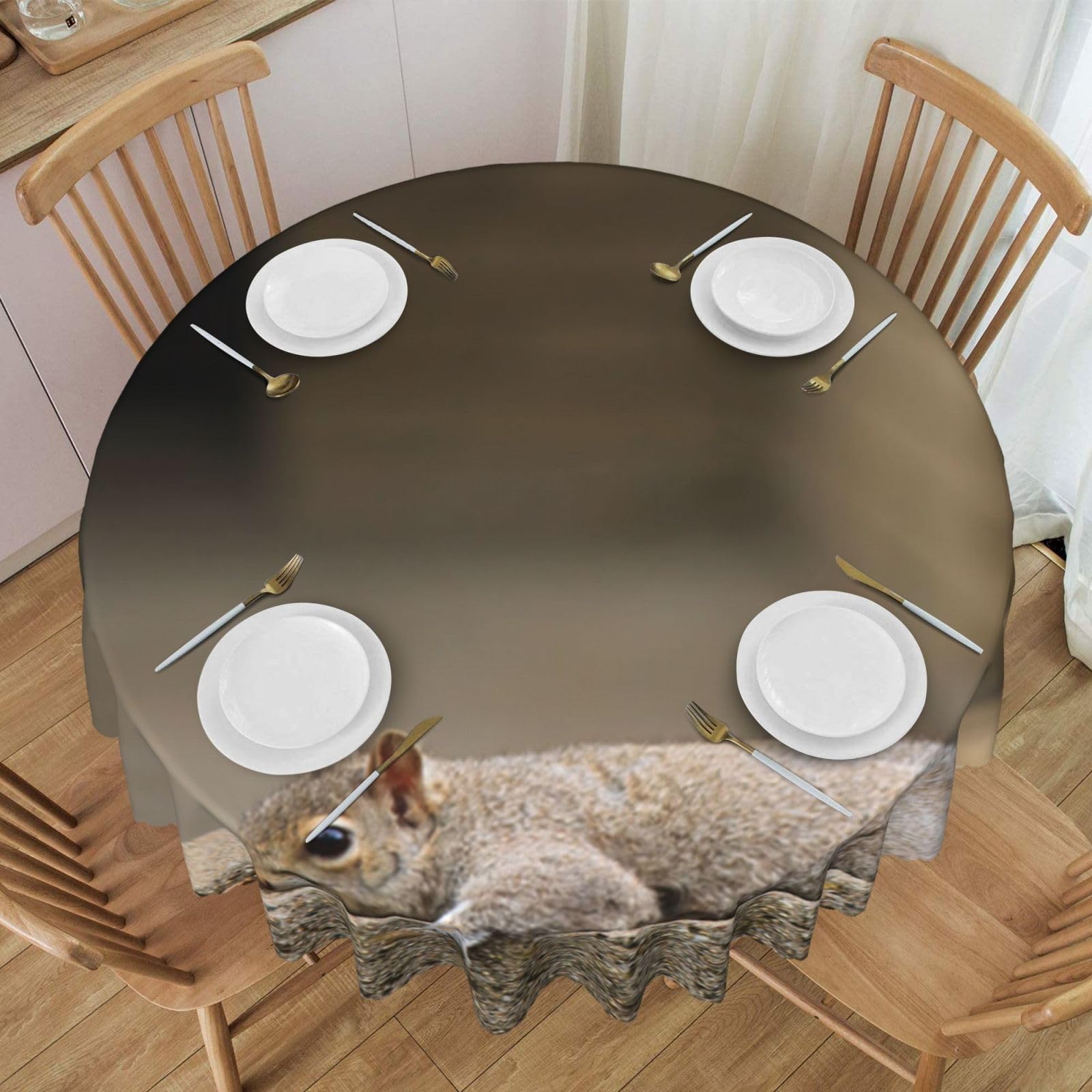 DCEHGEW 60 In Round Tablecloth with Lace, Squirrel Just Laying Printed Oilproof & Washable Fabric Picnic Table Cloth Table Covers