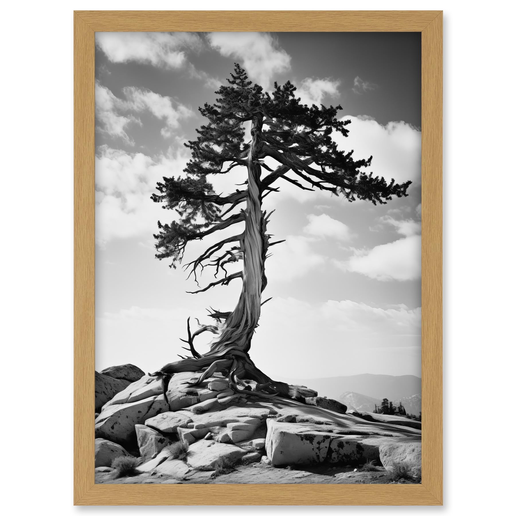 Artery8 Weathered Jeffrey Pine Standing on a Rocky Hill Black and White Photograph Lone Tree Artwork Framed A3 Wall Art Print