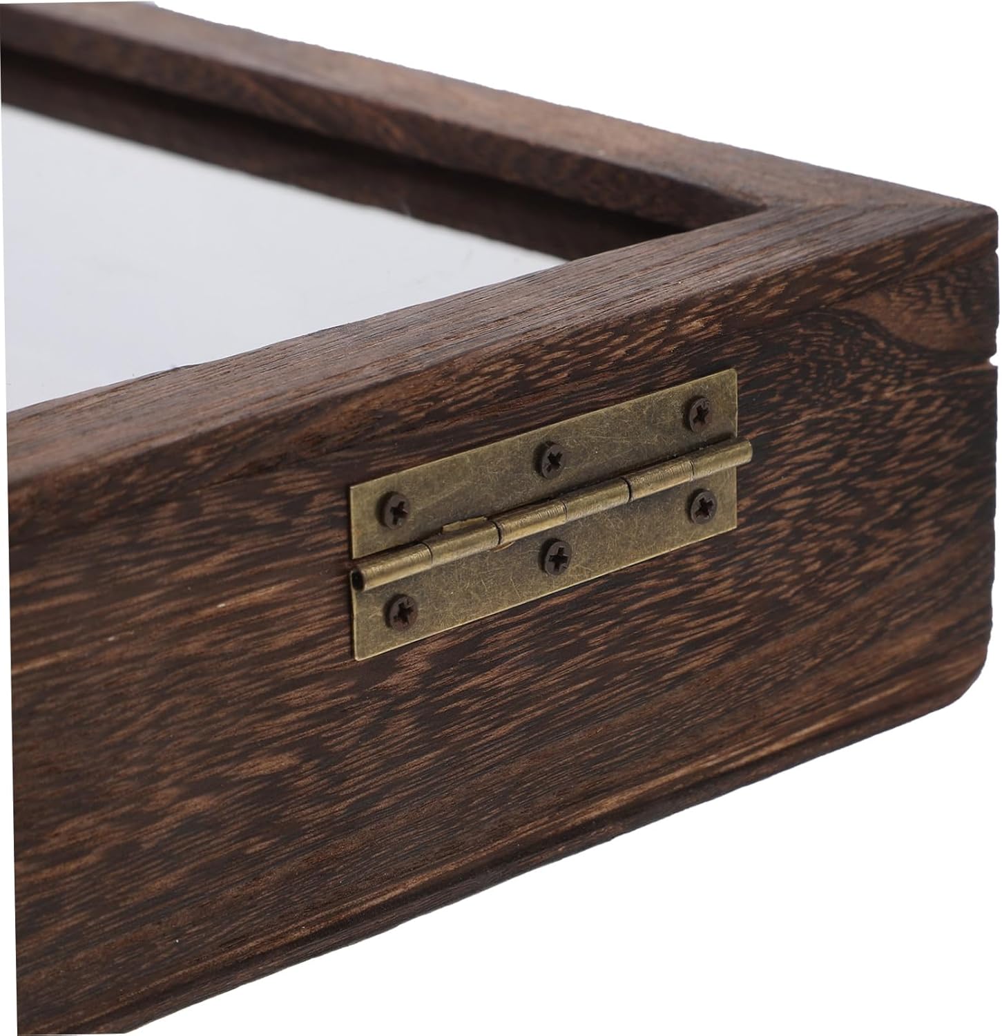 Luxshiny Butterfly Specimen Storage Case Wooden Display Box Specimen Collection Box