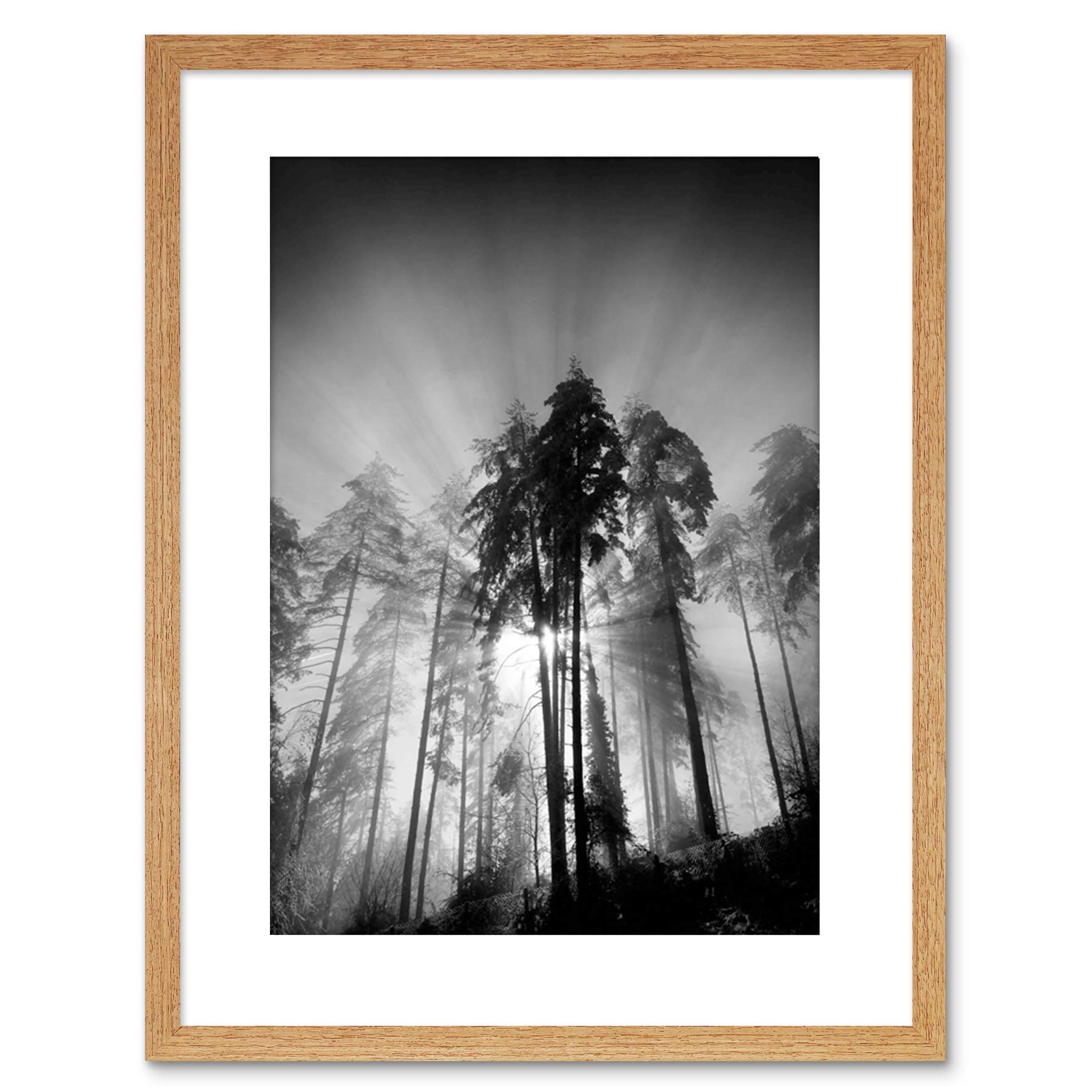Wee Blue Coo 9x7 '' TREES LIGHT FOG BLACK WHITE FRAMED ART PRINT PICTURE MOUNT PHOTO F97X1561
