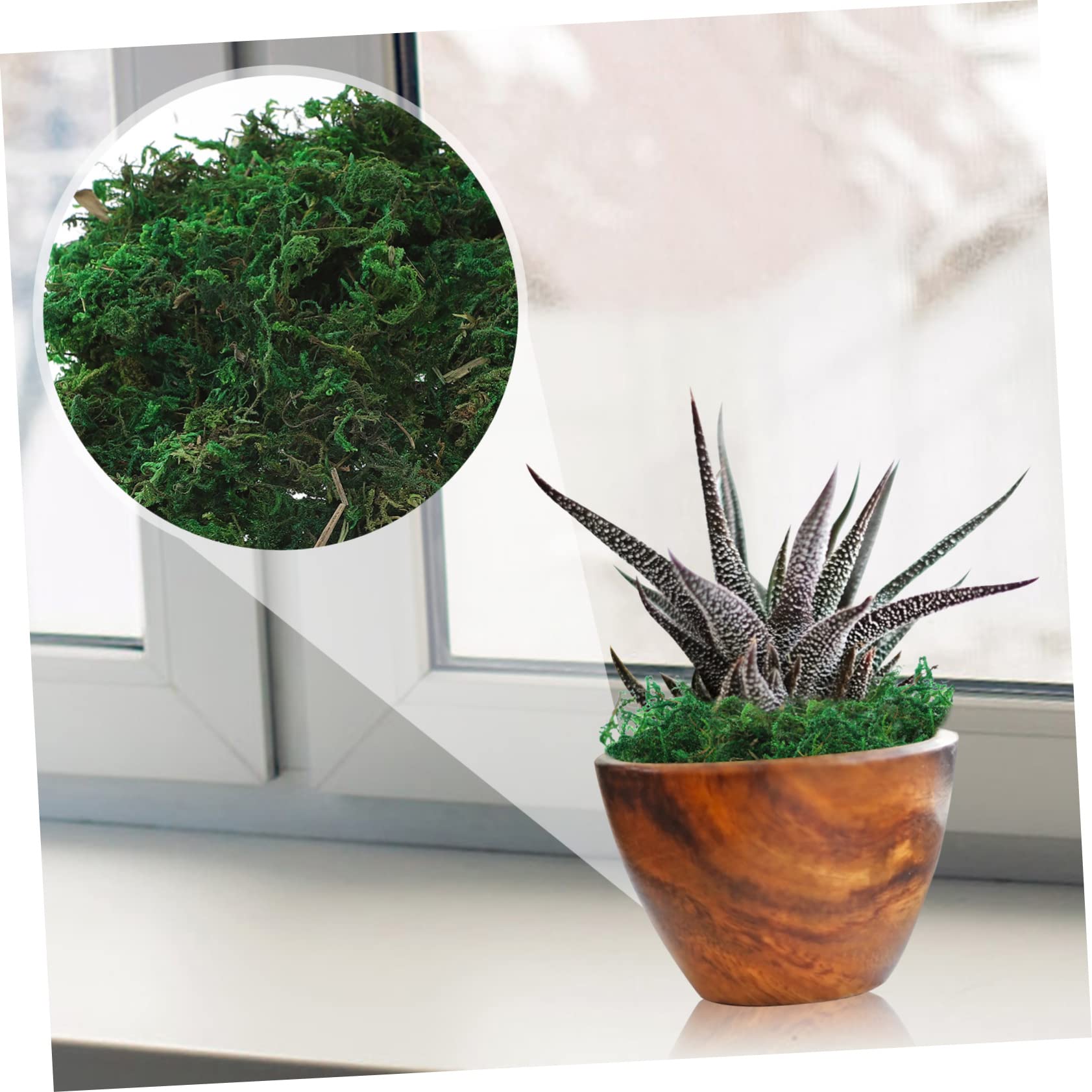 Zerodeko 10pezzi Finto Muschio Verde Artificiale per Decorazione da Giardino e Terrari Confezione da Piante Plastiche Realistiche per Paesaggi e Bonsai