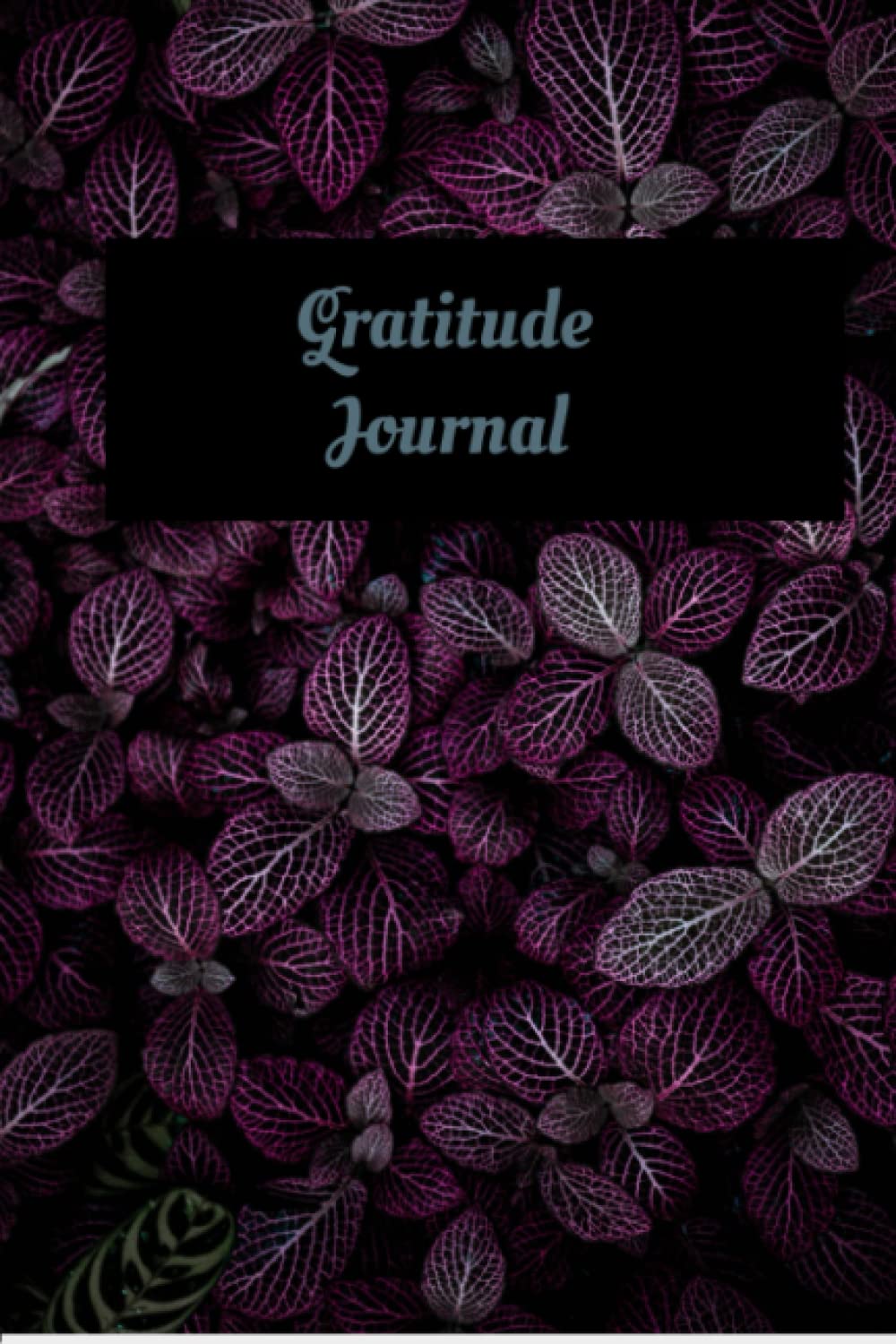 Gratitude Journal: Gratitude is Joy