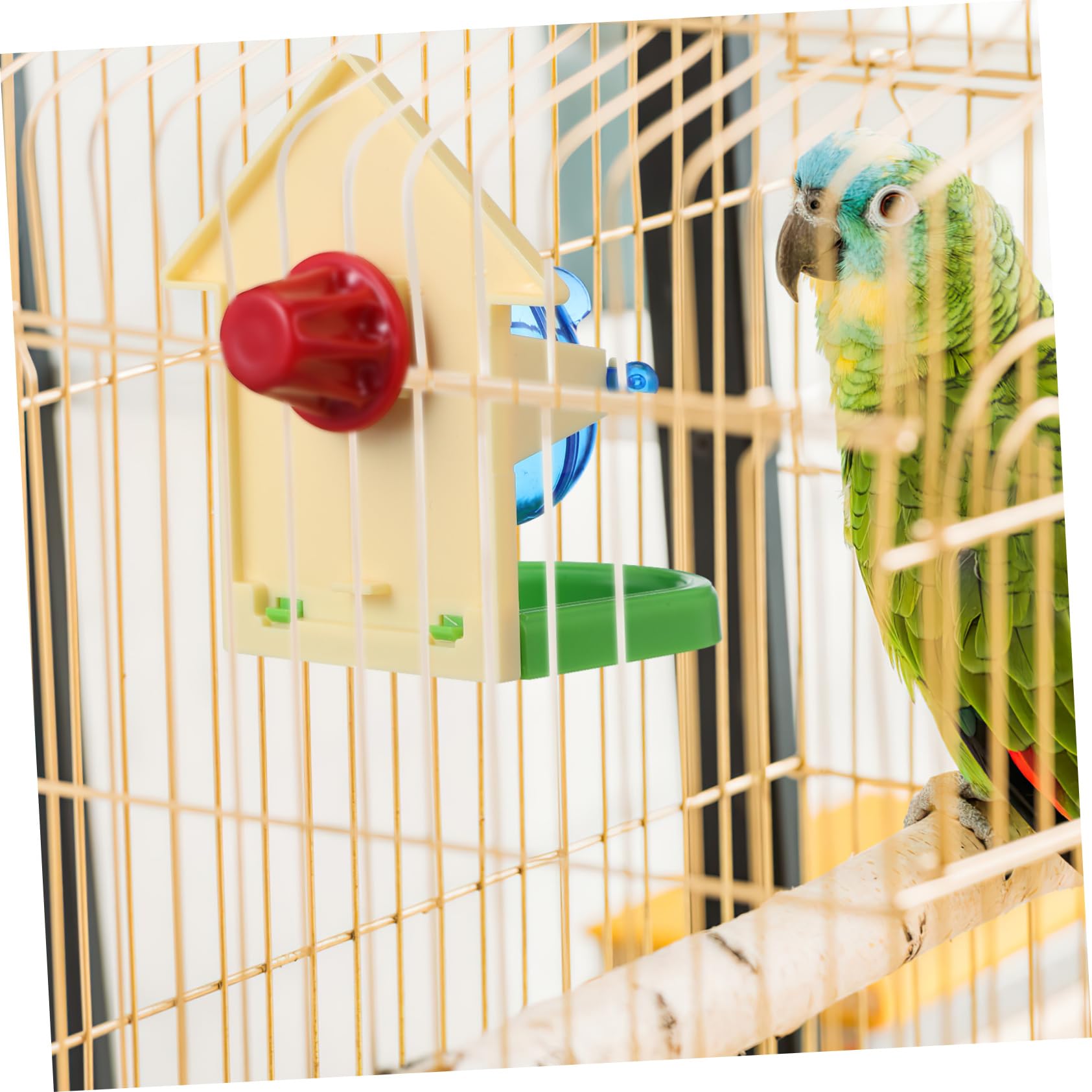 Sosoport 3stücke Educational Parrot Toy Mit Lustigem Futterspielzeug Für Wellensittiche Spiel Und Bewegung Langlebig Und Leicht Zu Transportieren