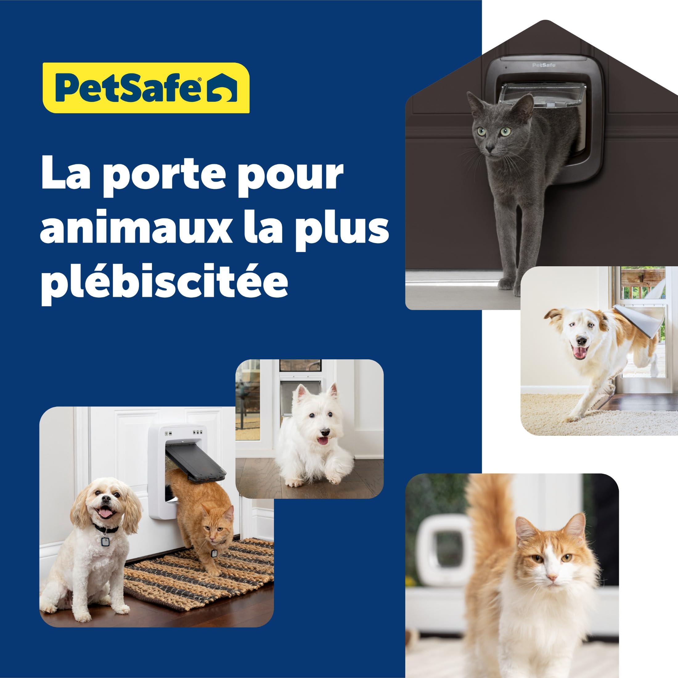 PetSafe - Chatière Manuelle - Système à 4 Options de Fermeture, Économique, Installation Facile - Marron