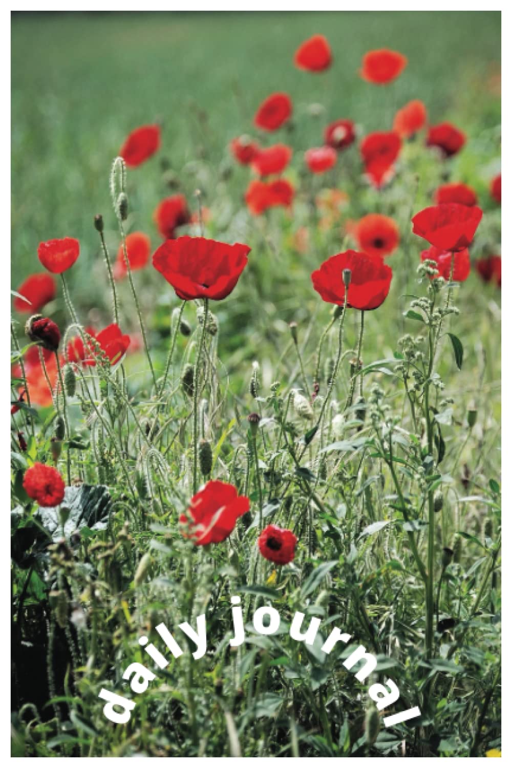 Daily Journal: Capturing the journey