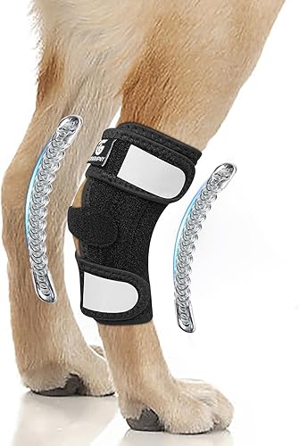 Tobillera de pierna trasera para perro para desgarro ACL y CCL, soportes para piernas de perro para pierna trasera con inserciones de resorte de
