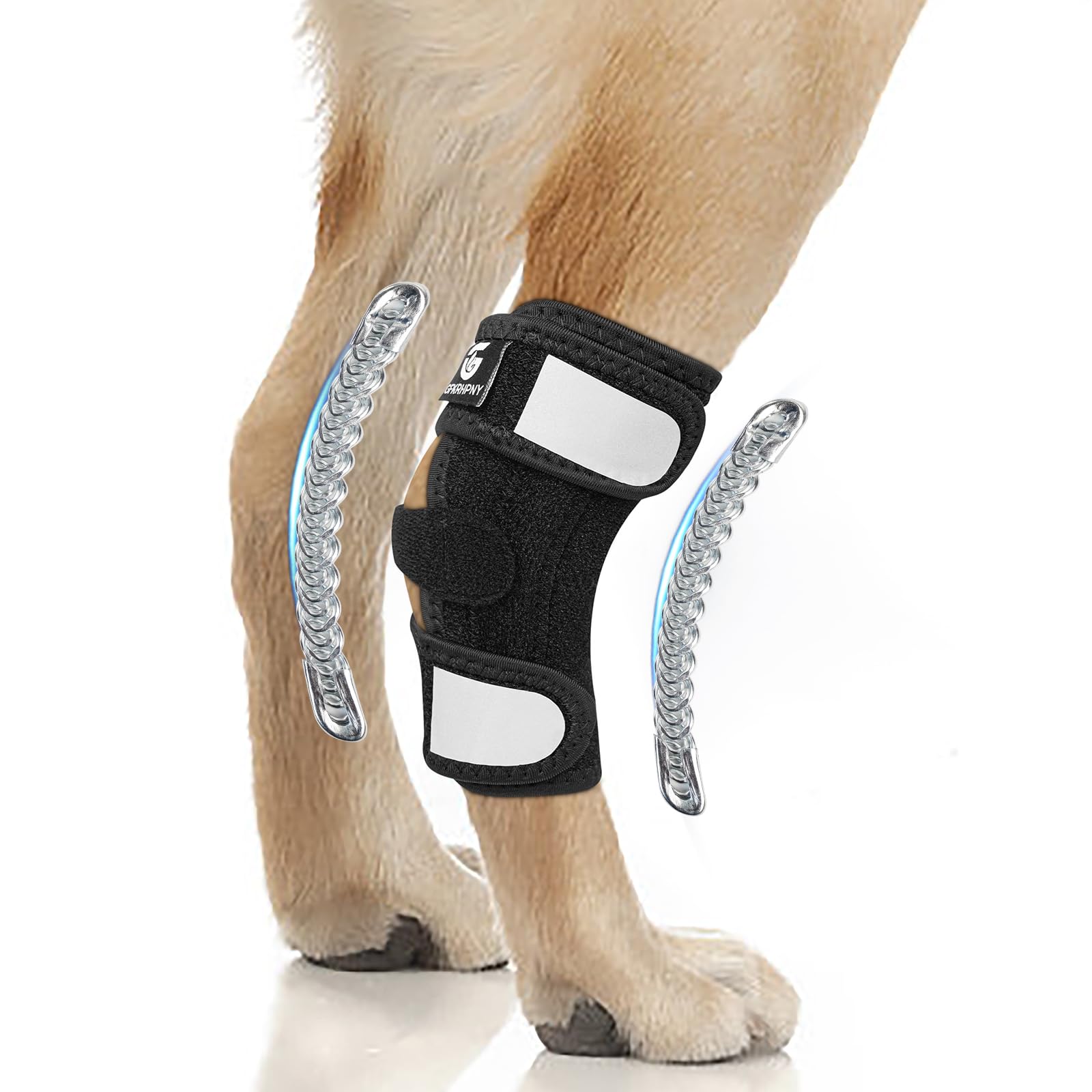 Dog Rear Leg Hock Ankle Brace