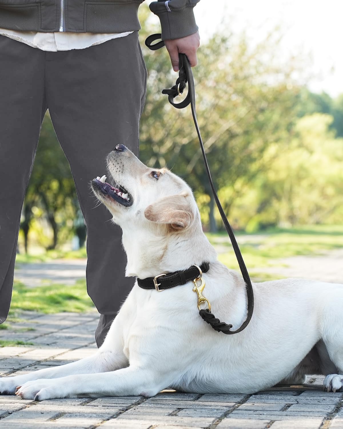 Joytale Lederen hondenhalsband, lederen halsband voor grote honden, hondenhalsband van zacht leer, duurzaam en verstelbaar, bruin, L