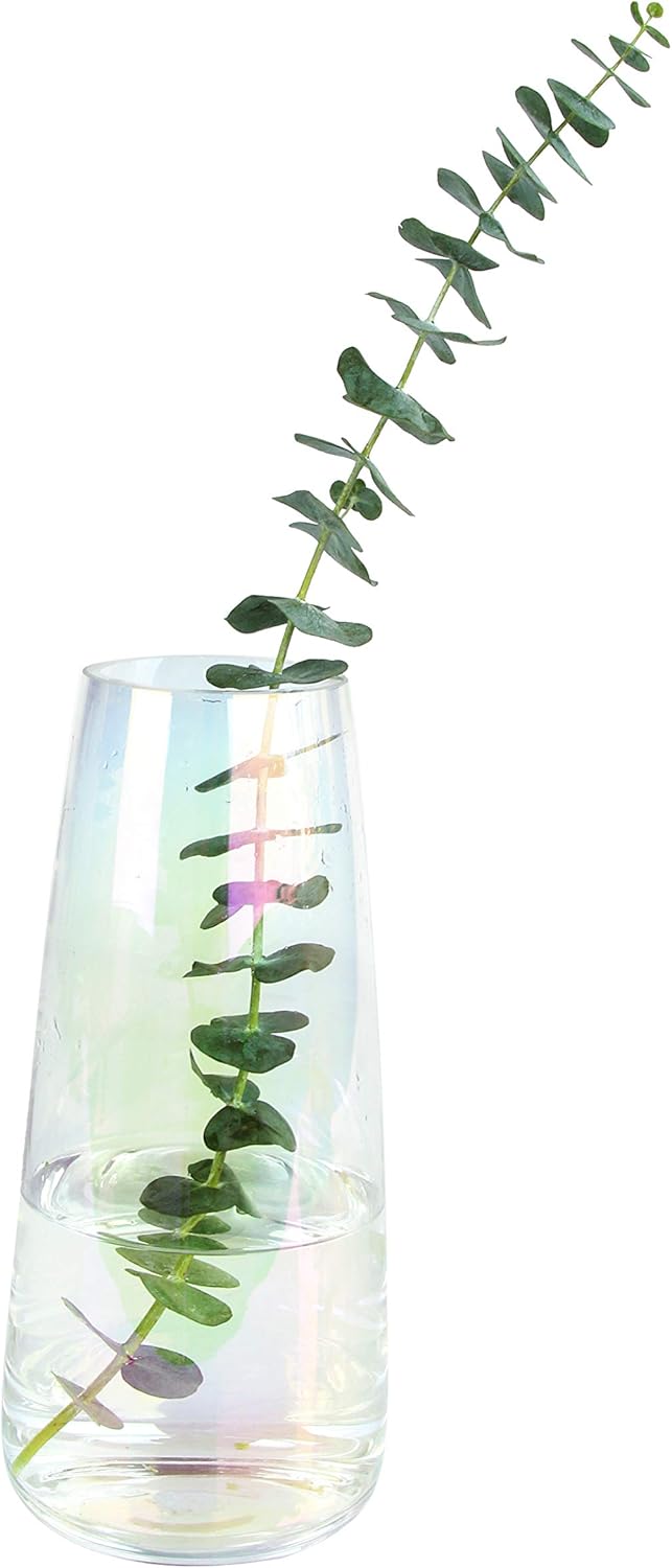 Hofferruffer 花瓶 おしゃれ フラワーベース ガラス 北欧風 花器 透明 大きい シンプル インテリア飾り ギフト 花びん クリア 水耕栽培 生け花 造花 硝子瓶 虹色