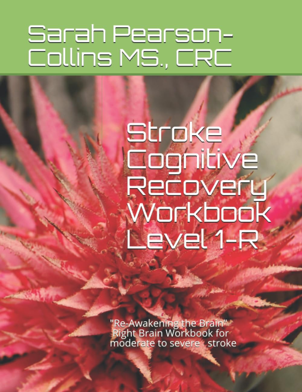 Stroke Cognitive Recovery Workbook-R: Re-Awakening the Brain