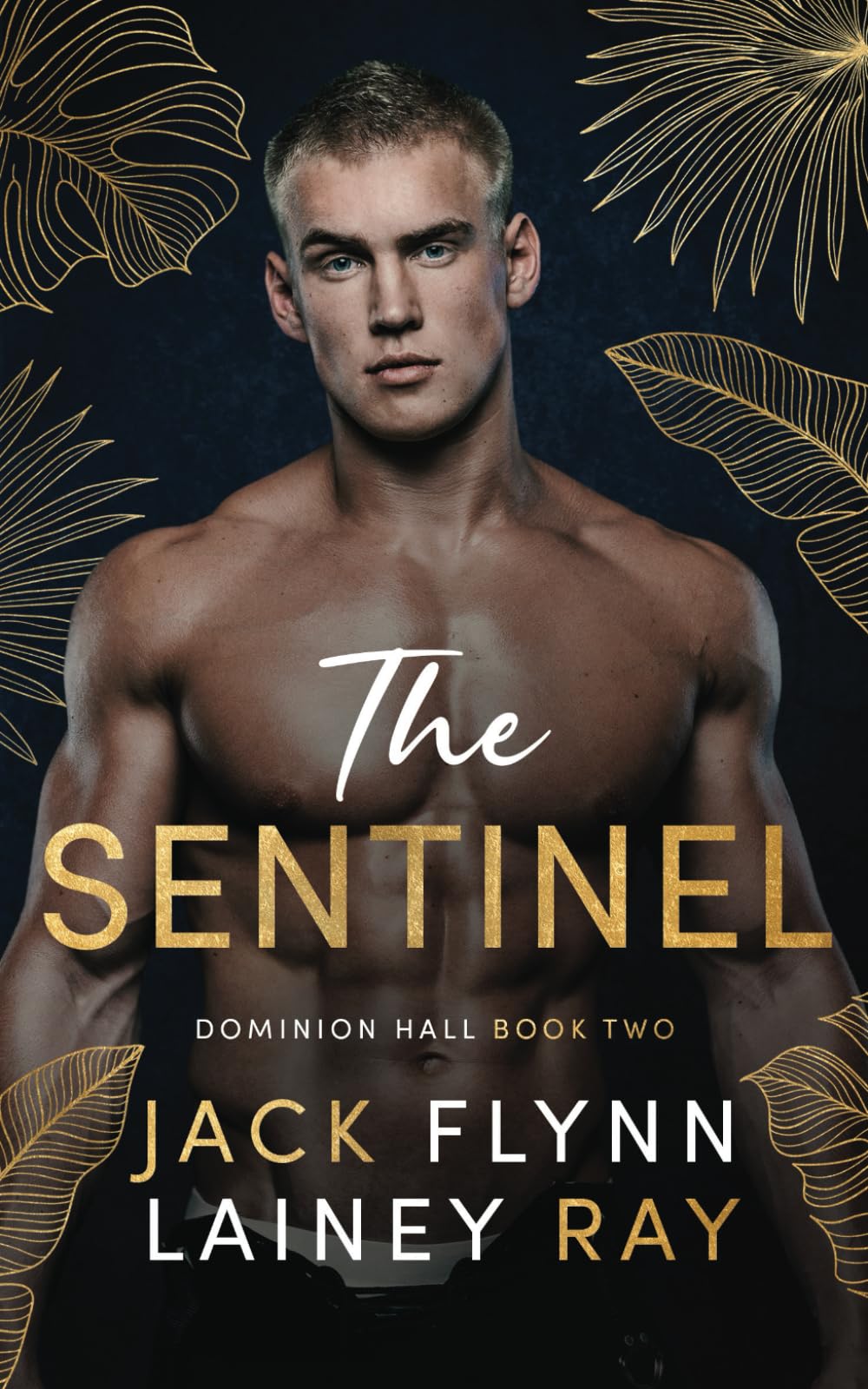 The Sentinel: A Dark Billionaire Military Romance (Dominion Hall)