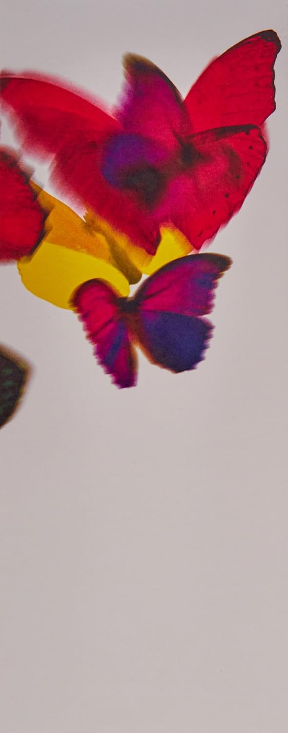 Madly Kenzo By Kenzo Eau De Parfum Spray 2.7 Oz Women