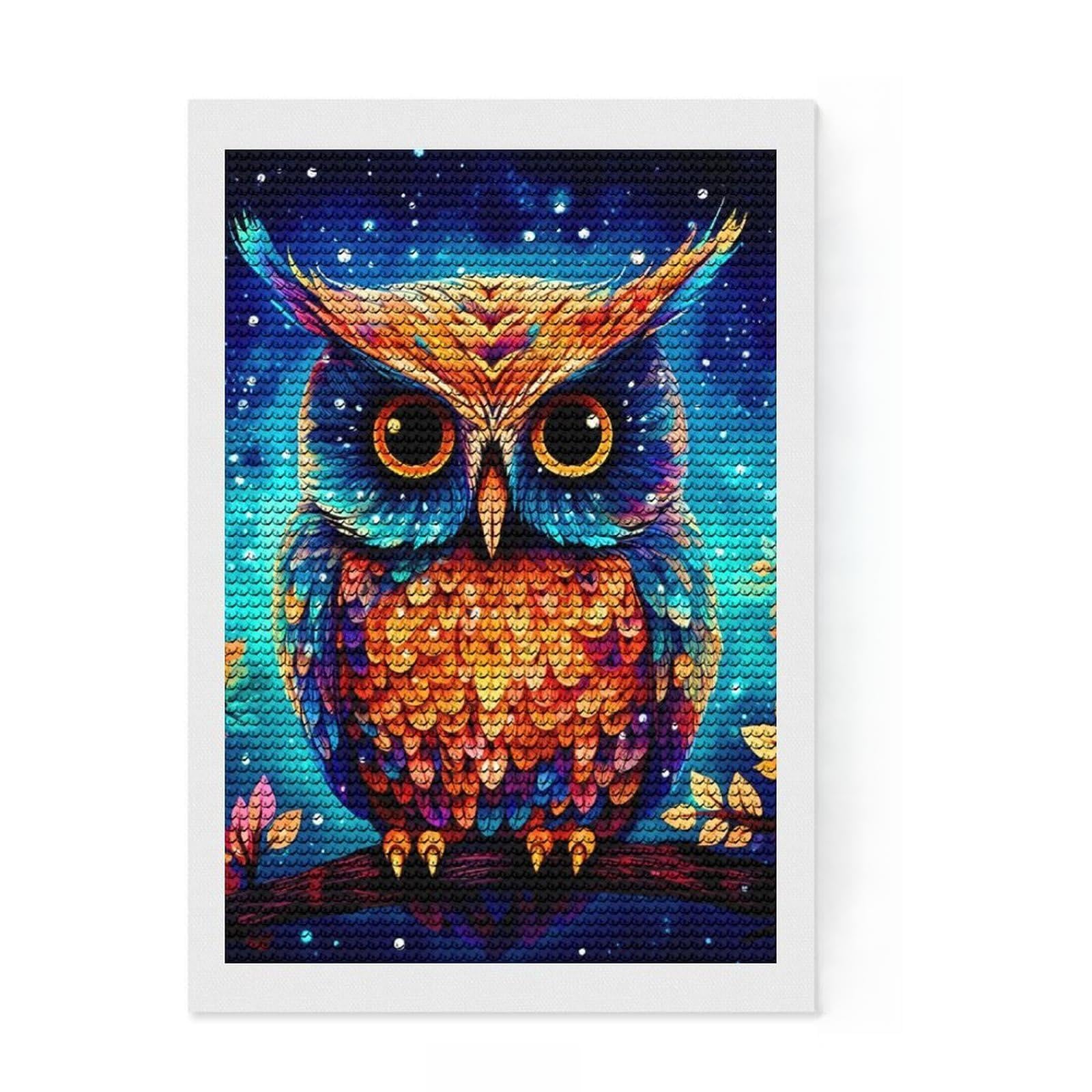 Junmoney Colorful Owl Full Drill Diamond Painting Kit 8"x12", for Adults, Good for Quiet Evenings, Farmhouse Decor, Holiday Gift Idea