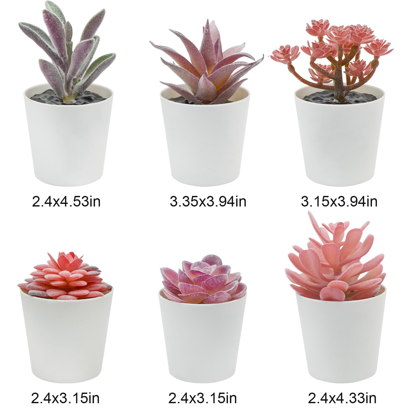 Amazon｜Bacucine 多肉植物 フェイク 6点セット 人工多肉植物 鉢植え 