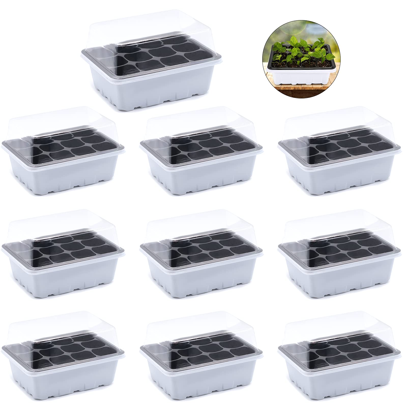 Vassoi Per Piante Per Piantine, Fioriere Da Davanzale Della Finestra, Kit Di Germinazione In Serra, Vasi Per La Germinazione Di Piante Grasse E - Foto 7