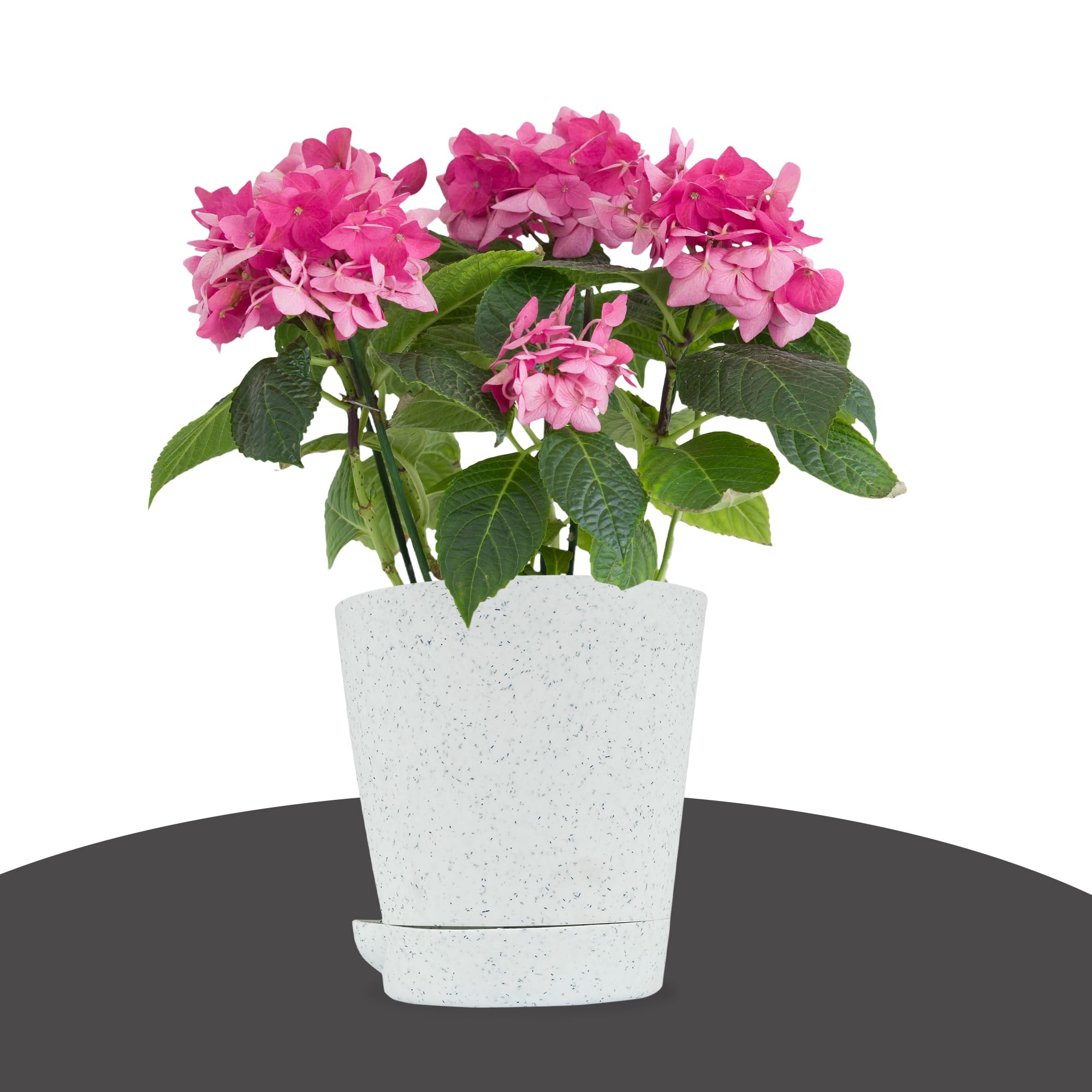 Kuber Industries Flower Pots - 12 Pack -2