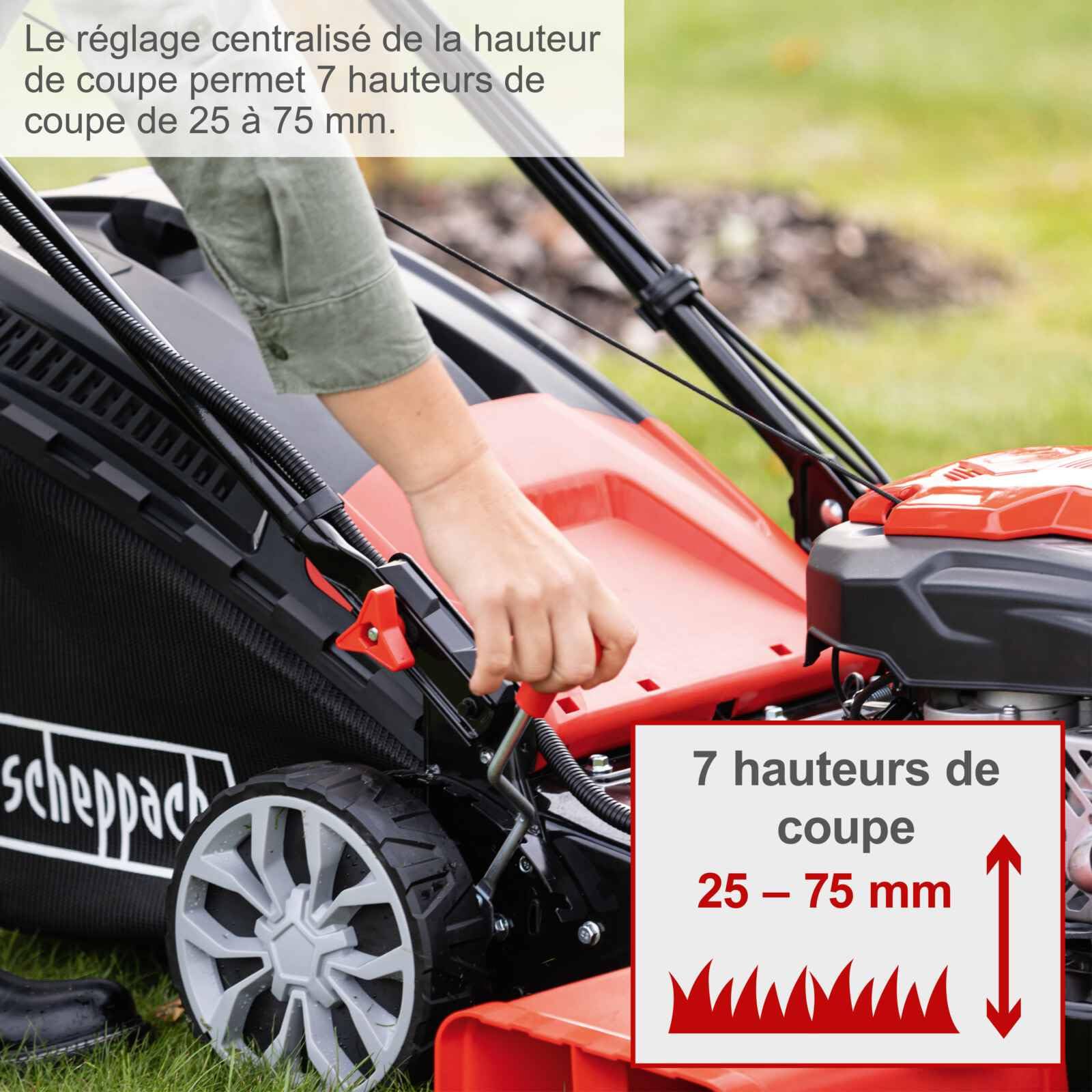 Scheppach Tondeuse à Gazon Hybride MS225-56E - Batterie + Chargeur Inclus