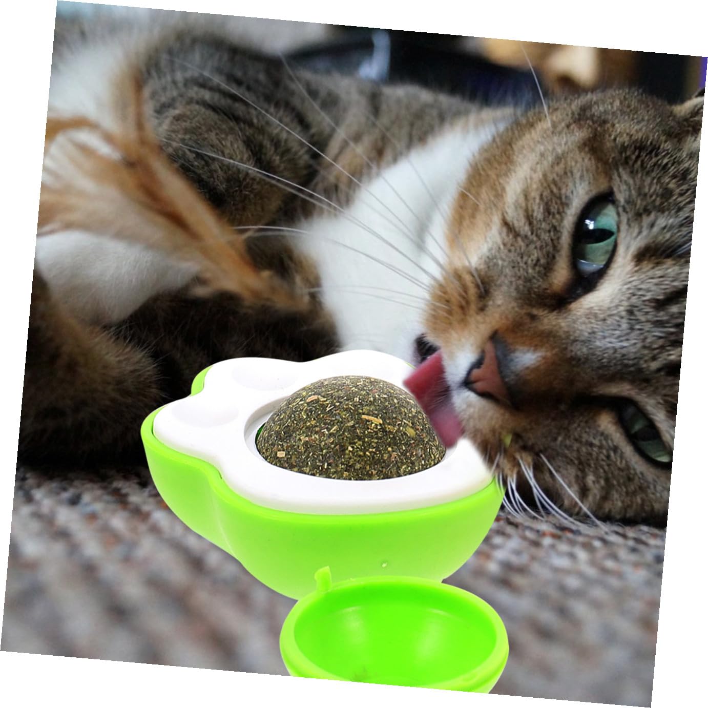 Toddmomy 12pièces Jouet Interactif pour Chat avec Boule De Cataire Comestible Stimule Le Jeu Et Hygiène Jouet Indoor pour Chatons