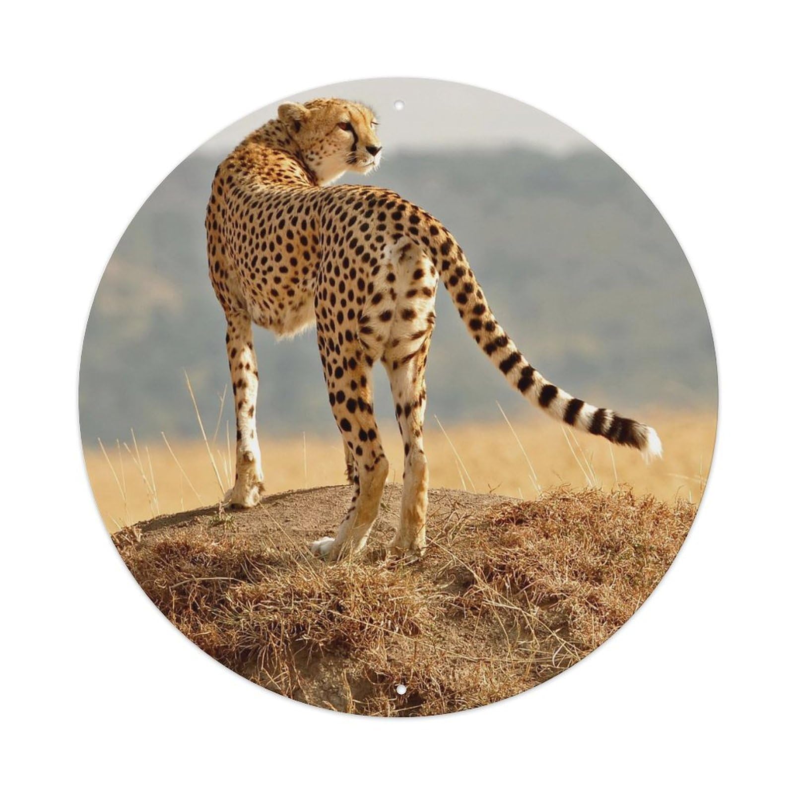 Animals Cheetah Father And Son Metal Tin Sign