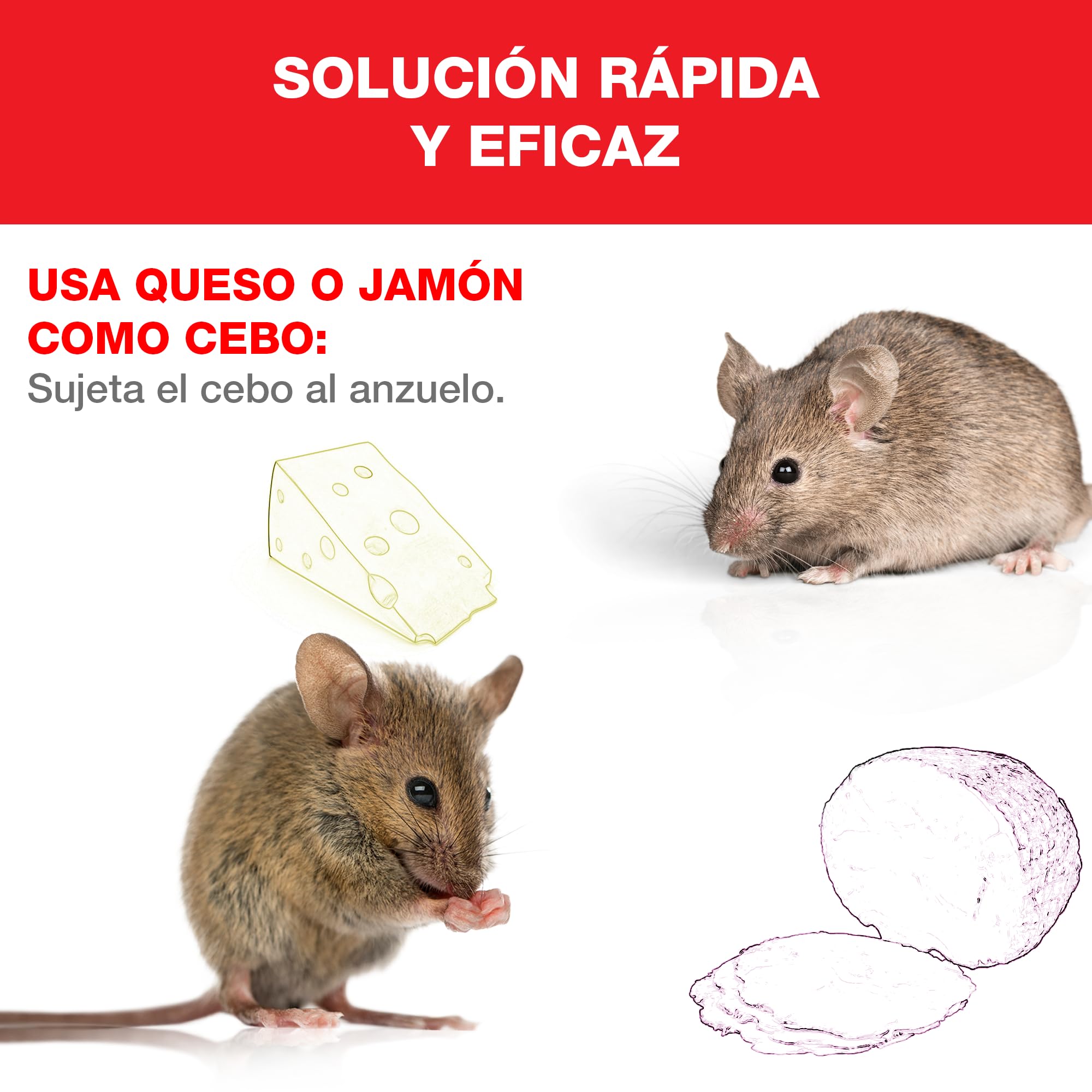 SWISSINNO Jaula para Ratones, Construida en madera y metal, Atrapar + soltar, Diseño seguro, Uso interior y exterior, Segura para niños y mascotas, Fabricado en Europa, 1x Trampa
