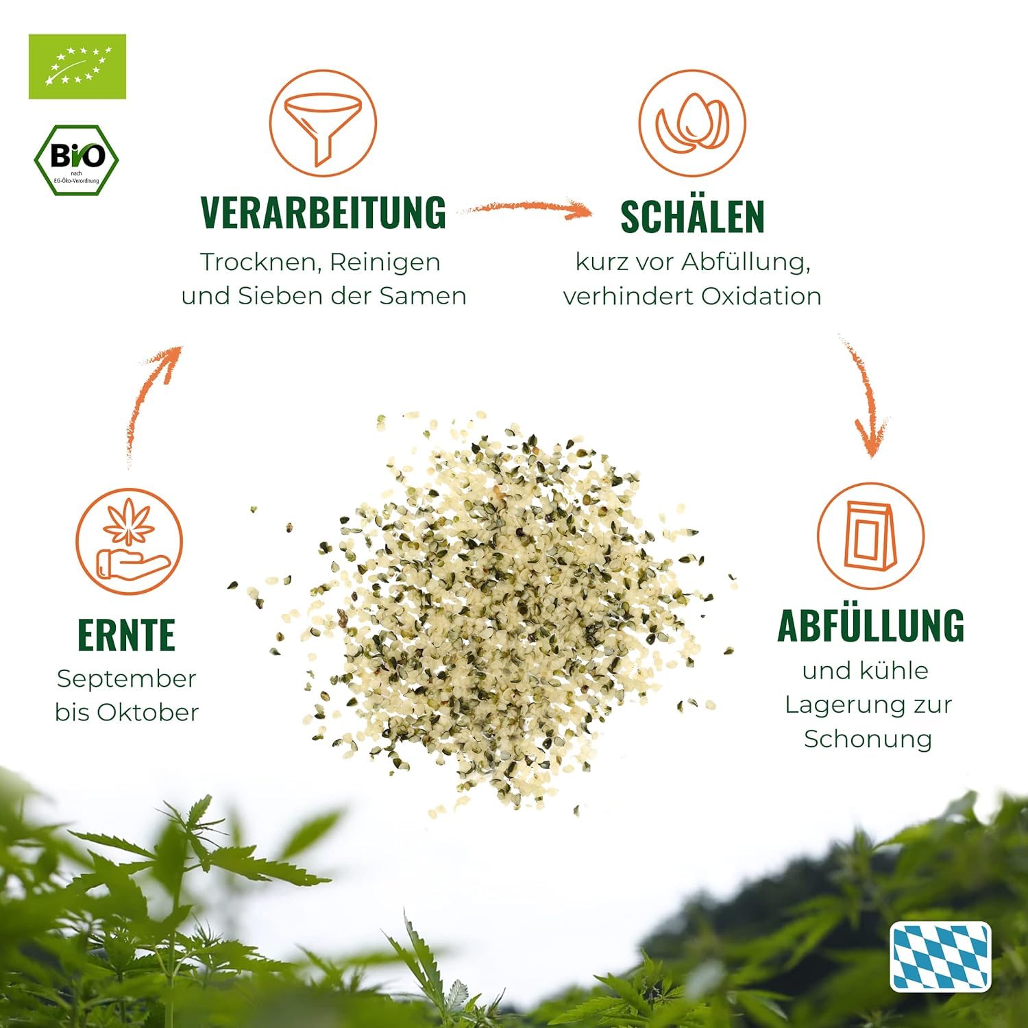 HANS Brainfood Bio Hanfsamen geschält - High Protein - Natürliche Omega 3 und Magnesium Quelle ohne Zusatzstoffe | Superfood vegan aus Bayern | Hanfprotein mit Eisen und Vitamin E | 3x 800g