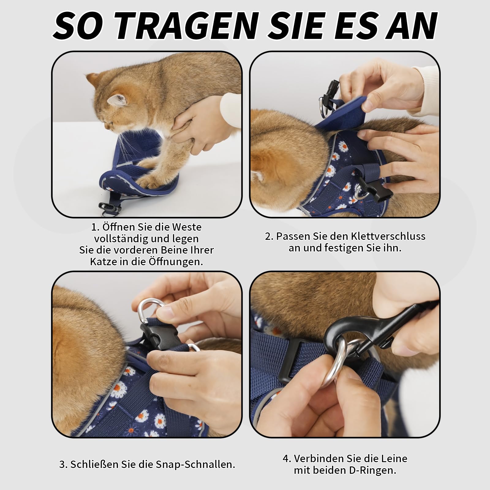 Arblina Katzengeschirr, Weich & Atmungsaktives Katzengeschirr-Set mit Reflex, Leichtes Katzengeschirr Ausbruchsicher mit 1,5m KatzenLeine, Blau S