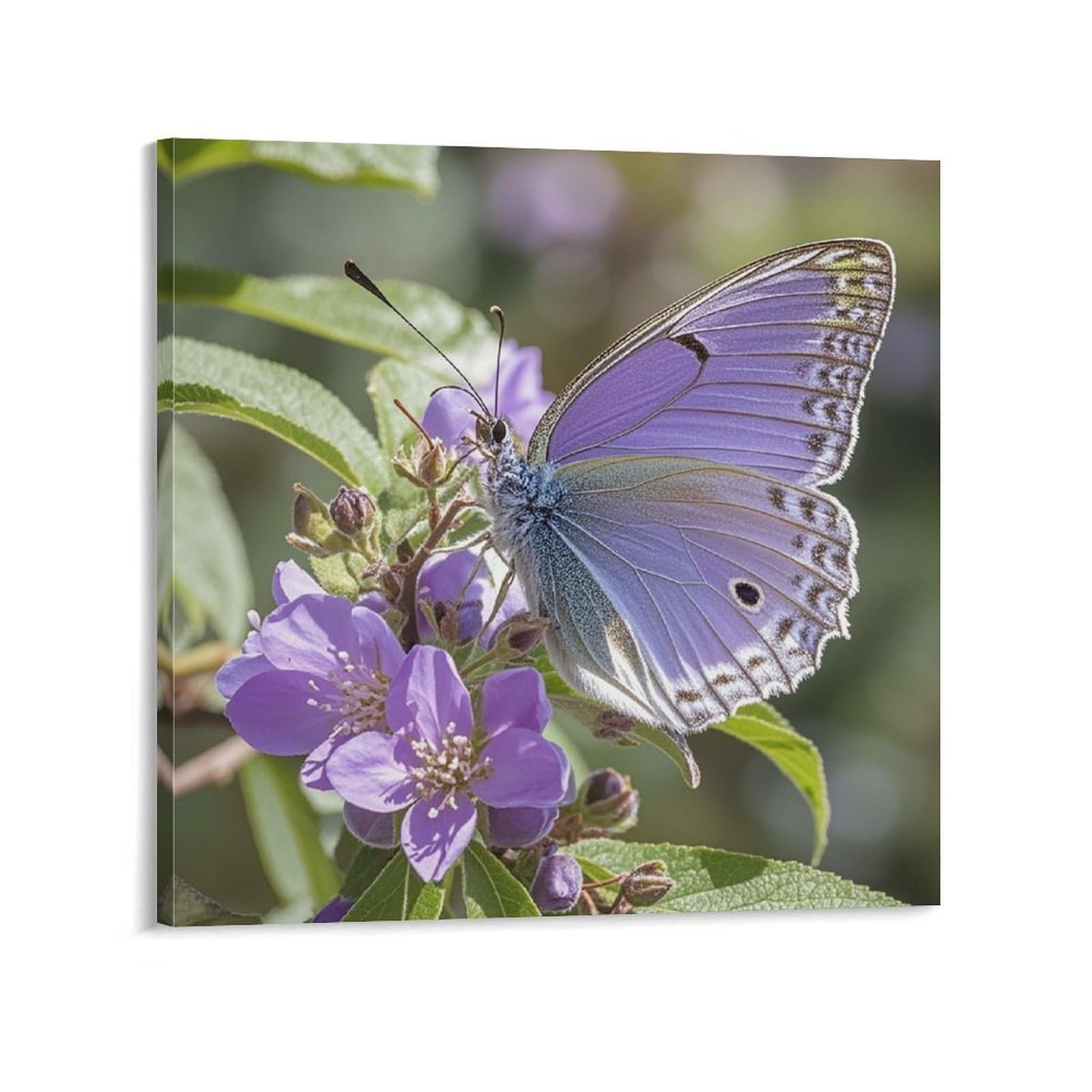 KLOPH Purple Plum Butterfly Canvas Wall Art for Living Room 12x12inch Modern Artwork Painting for Bathroom Hanging Canvas Prints Aesthetic Wallart for Bedroom Kitchen Office Wall Decor