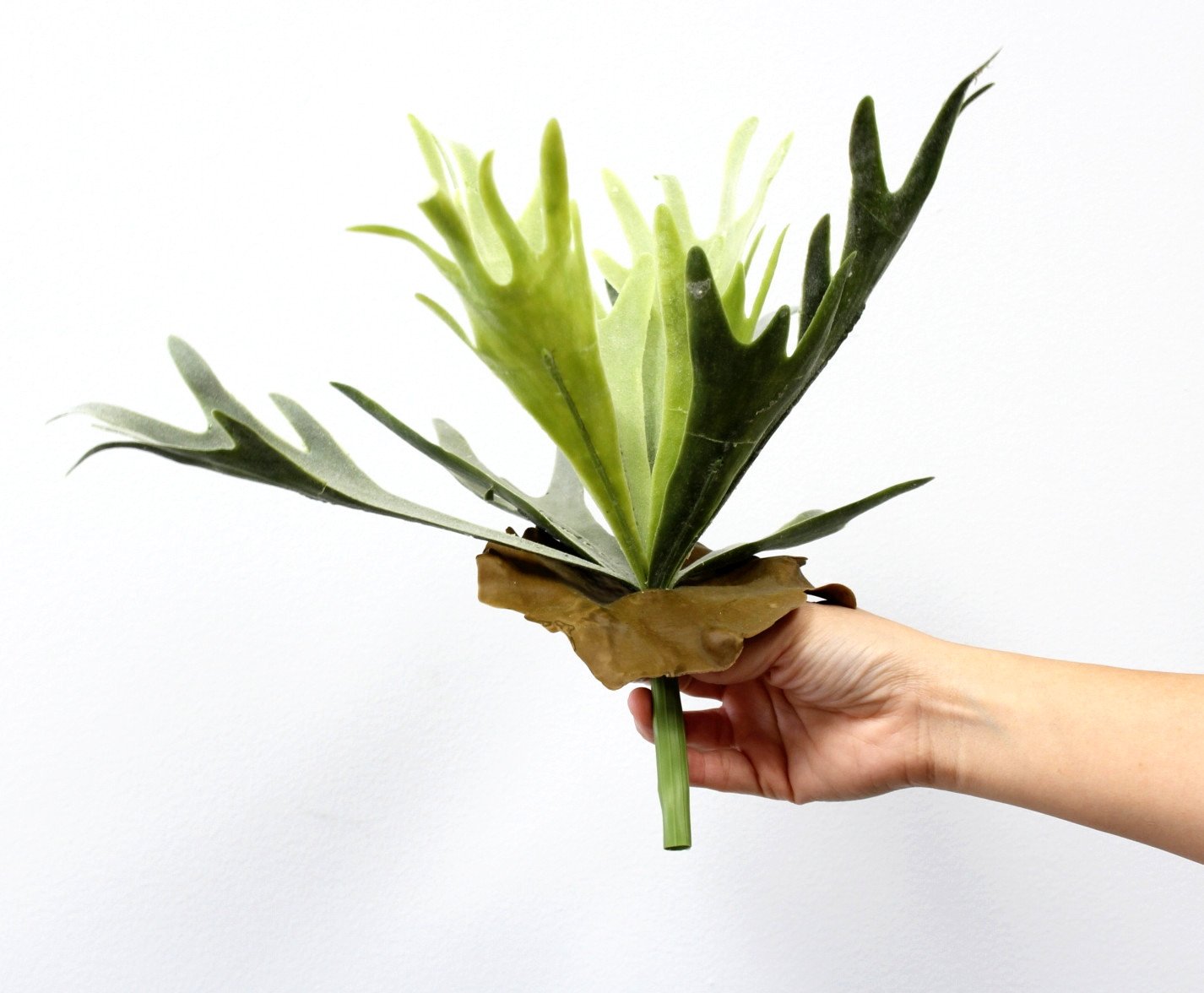 Angel Isabella Faux Staghorn Fern Bush Frosted Green Foliage