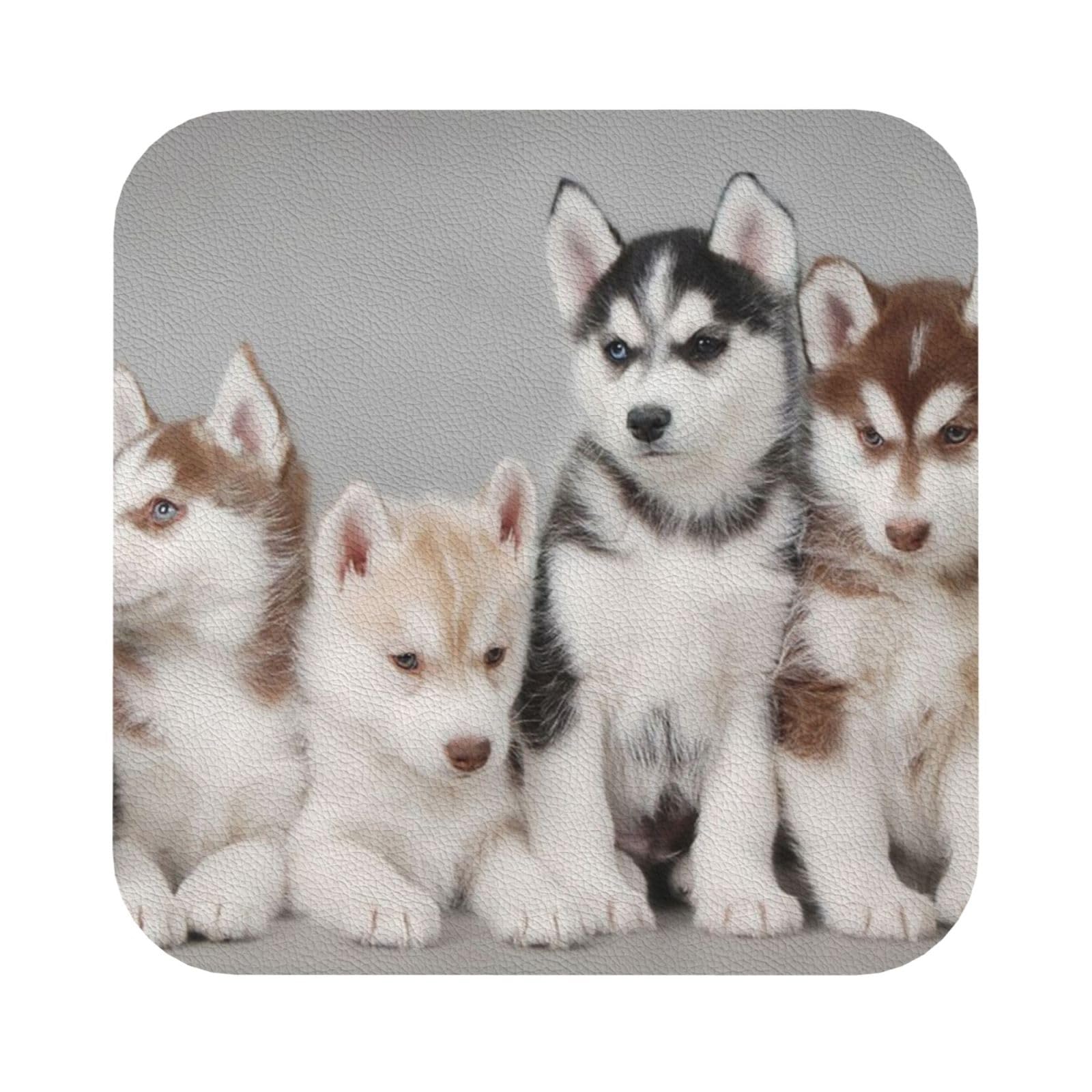 Lovely dogs PU Leather Coasters Set of 6 Square Drink Coasters