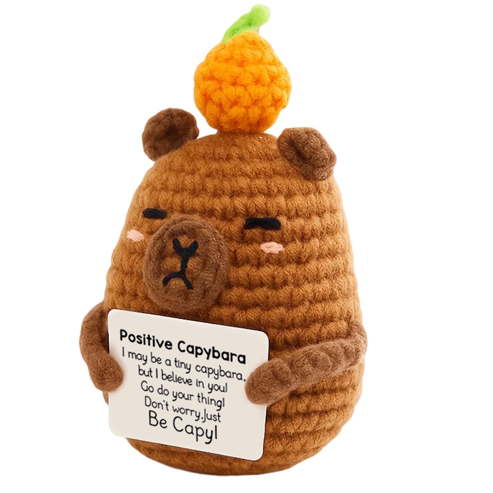 SrgPui Positive Crochet Animals, Capybara Gifts for Emotional Support Positive Gifts for Women Handmade Crochet Capybara Decor