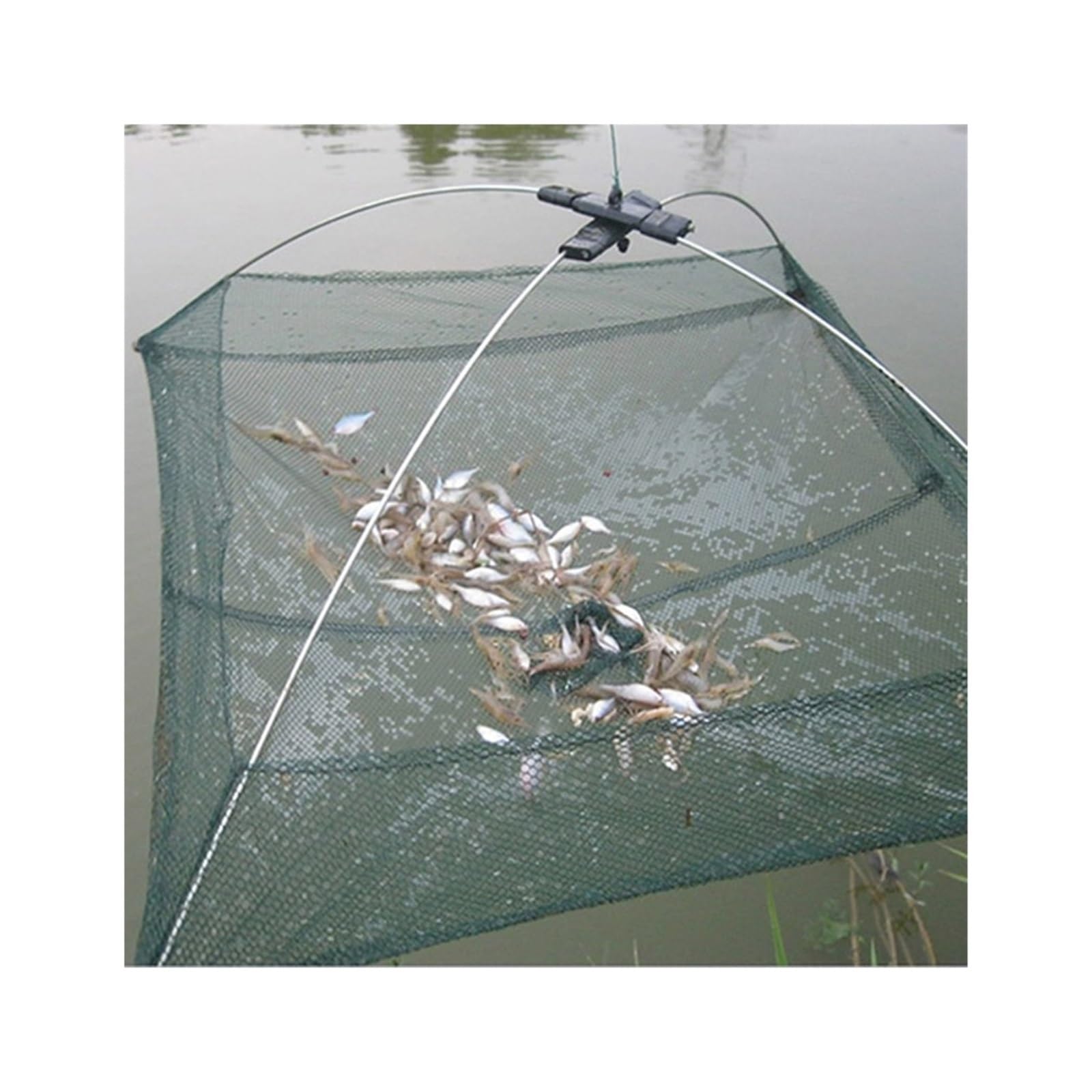 AOKLEY Fish Baskets Baits Cast Mesh Trap Dip Lift Net Lifting Catching Nylon Fish Net Catch Crab Easy to Use Fishing Protection : Sports & Outdoors