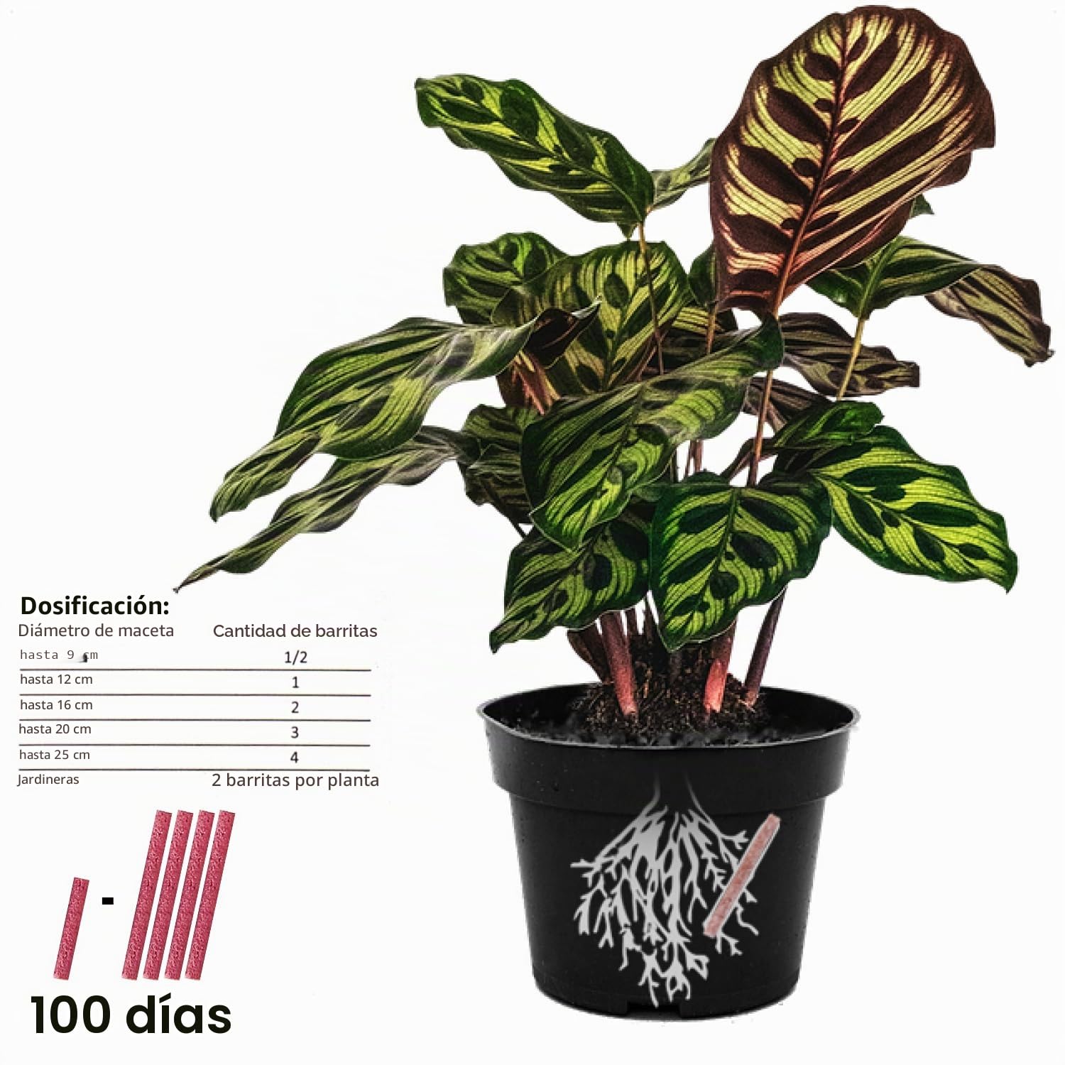 COM-FOUR® varillas de fertilizante 160x - Fertilizante para plantas con flores y verdes - Crecimiento saludable de plantas y flores