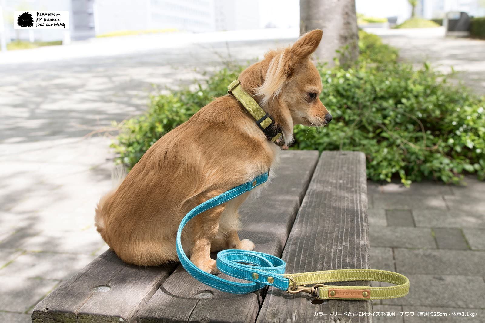 Amazon | 犬 リード カフェタイプリード キャンパス地 コットン