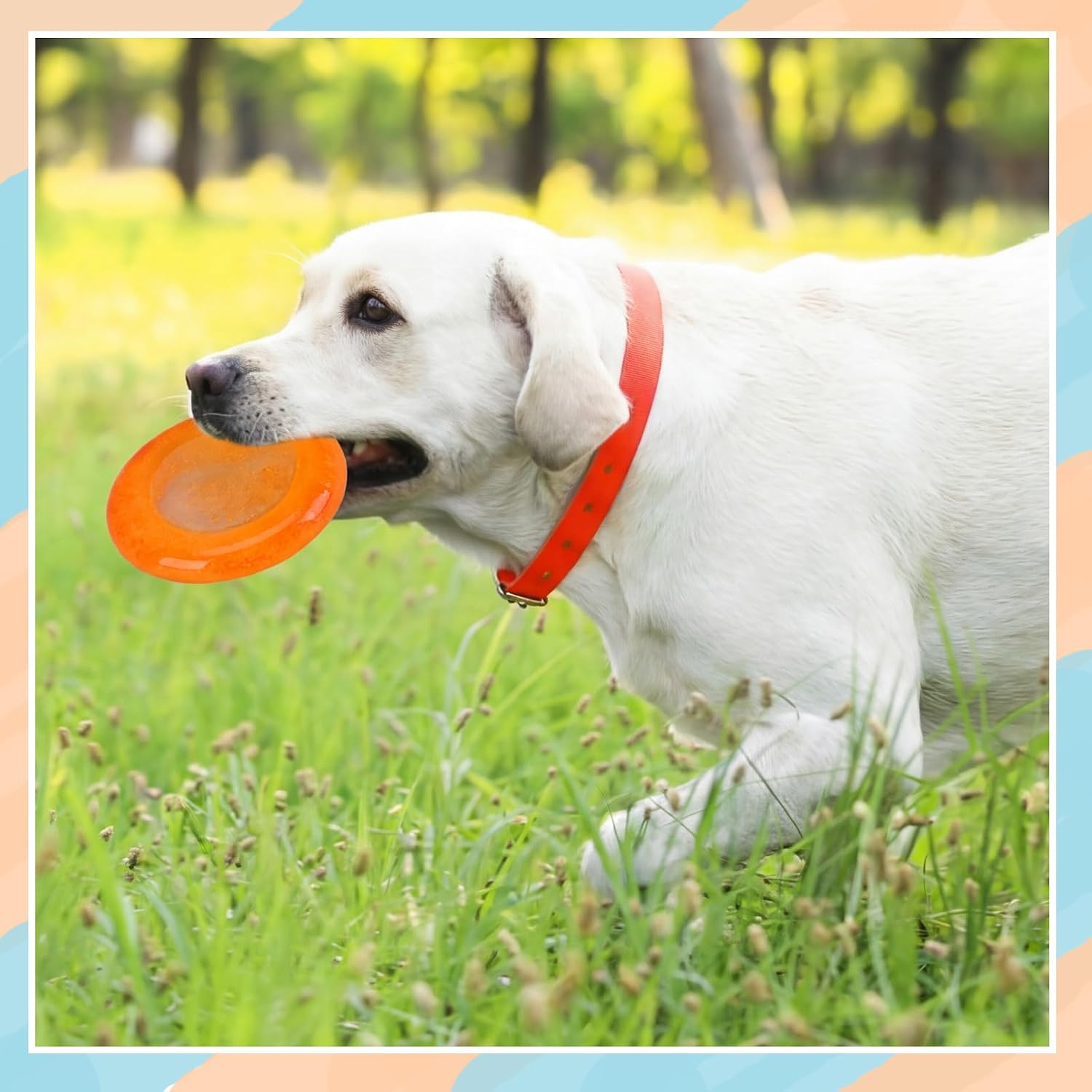 3 Pcs Dog Treat Molds, Frozen Treats for DIY Custom Flavors, Fruit & Water Freezer to Keep Dogs Chilled, Silicone Ice Cube Mold for Summer Chew Toys, Gift for Dog Lover