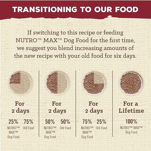Miniatura 6 de Nutro Max Alimento seco natural para perros adultos