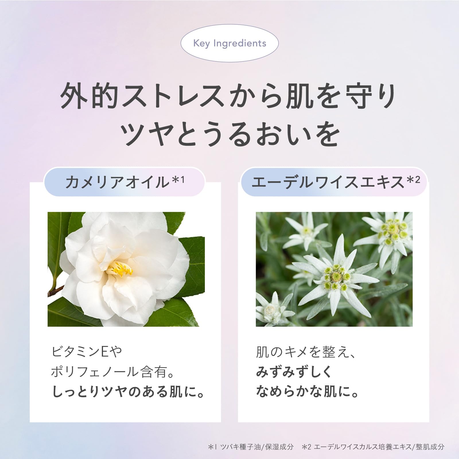 ファミュ ドリームグロウマスクRR （透明感・キメ）サムネイル4