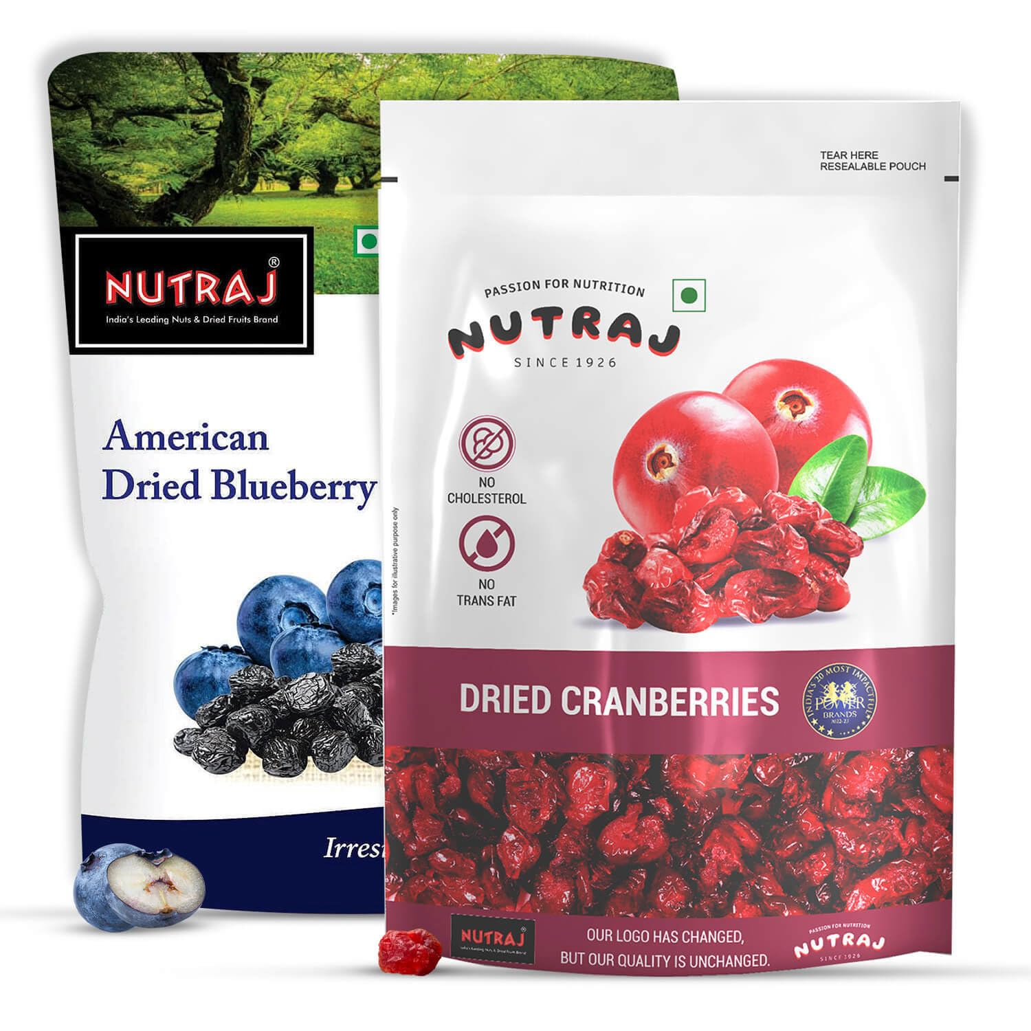 Nutraj Sweet & Tart Sliced Cranberry 180 grams & Dried American Blueberries 200 grams - Combo | Antioxidant Rich | Rich in Calcium and Vitamin K (B0CQX76LN3) Amazon Price History, Amazon Price Tracker