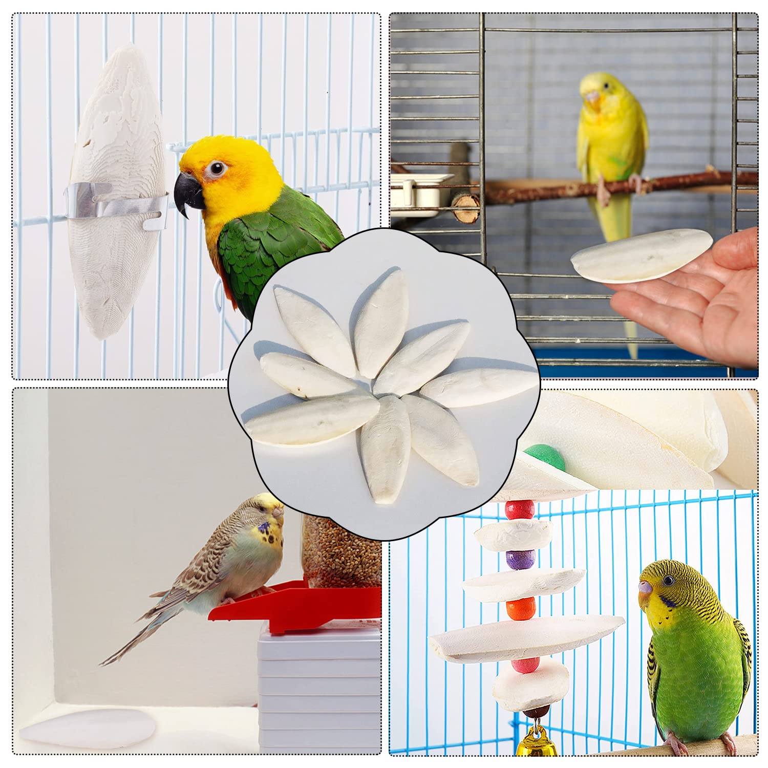 Osso di seppia Uccello 6 Pezzi Osso di Seppia con Supporto 11-13cm per Uccelli Criceti Parrocchetti Animali Domestici Striscianti