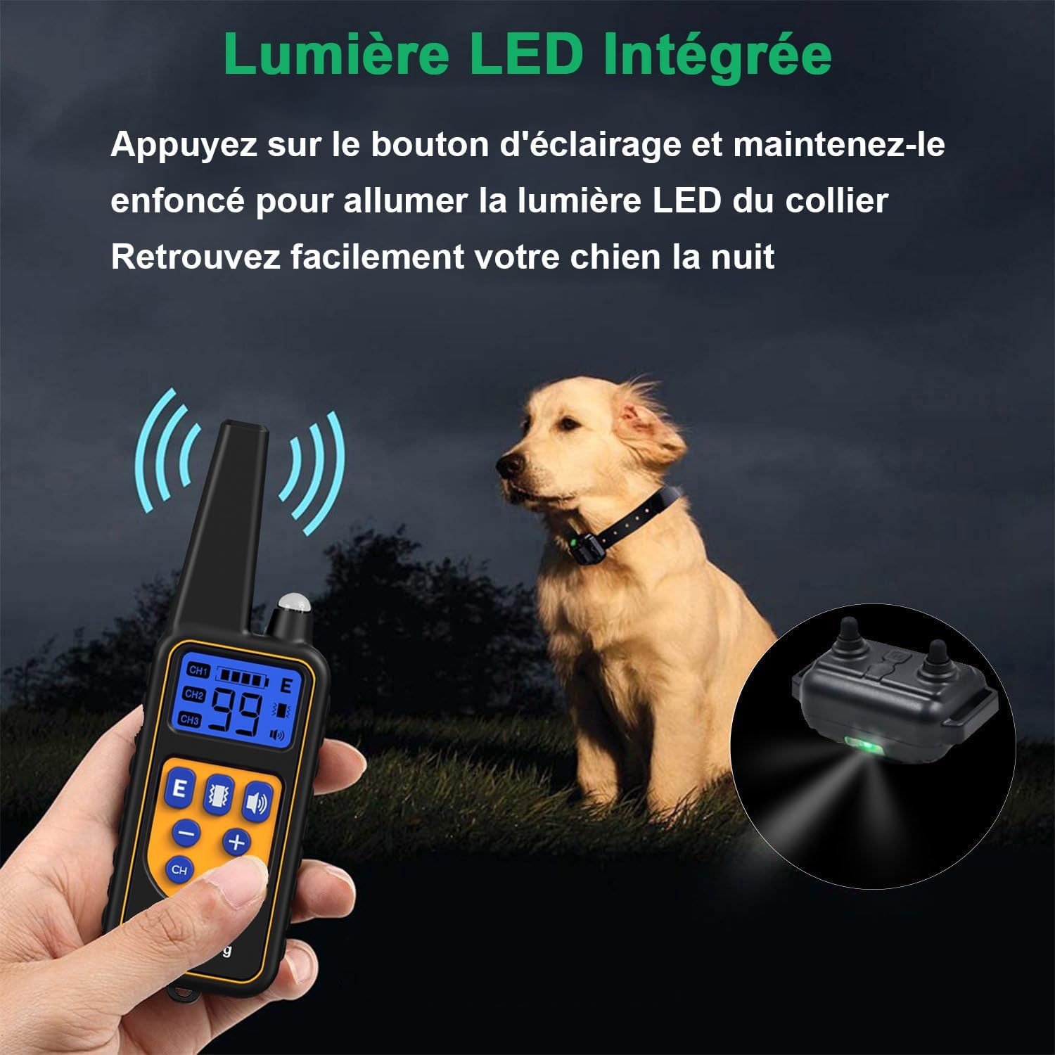 Collier de dressage étanche sur un chien en extérieur