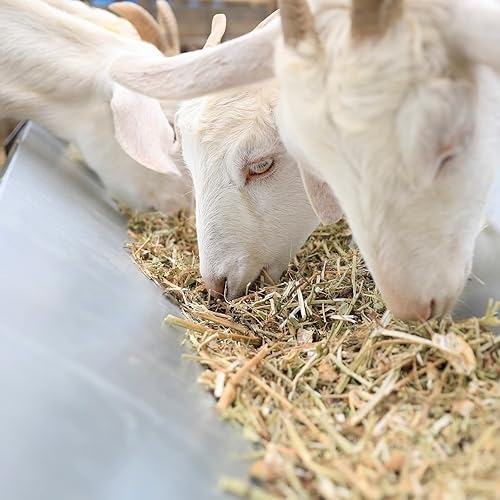 Miniatura 3 de Solution4Patio - Comedero portátil de acero galvanizado de 45 pulgadas de largo, alimentador resistente de gran capacidad, fácil de limpiar, para