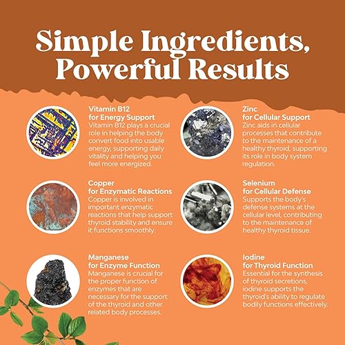 Miniatura 13 de Complejo de apoyo a la tiroides de hierbas – Suplemento tiroideo de yodo con lirosina L vejiga selenio y ashwagandha – Suplemento energético