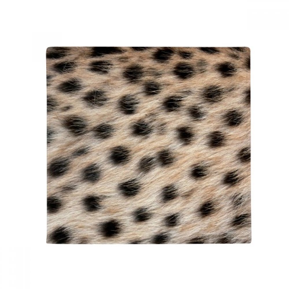 Pet Mat et tapis pour animaux 60x50cm lavable pour porte d'entrée et salle de bain
