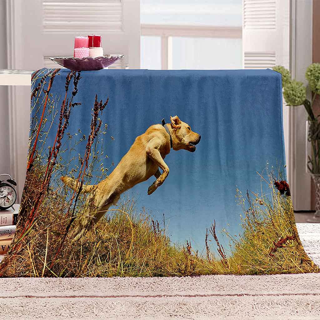 Couverture sofa 3D chien pour des soirées cocooning au salon